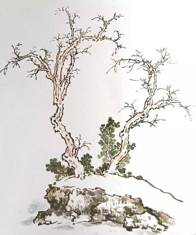 探索国画树的画法，一堂生动的视频教程指南