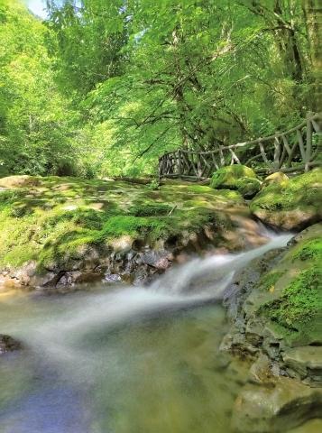 女士与山水，一幅细腻的风景画卷