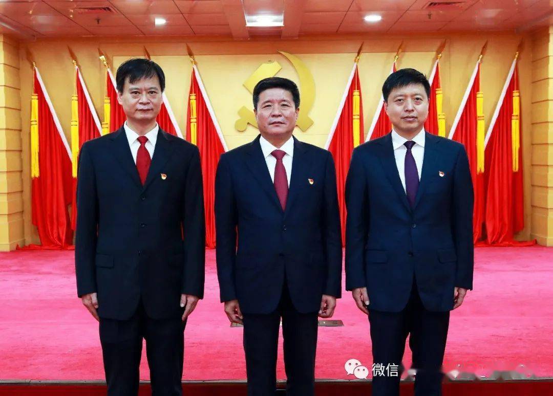 河南省政府最新人事任免，新一届领导班子的组建与展望