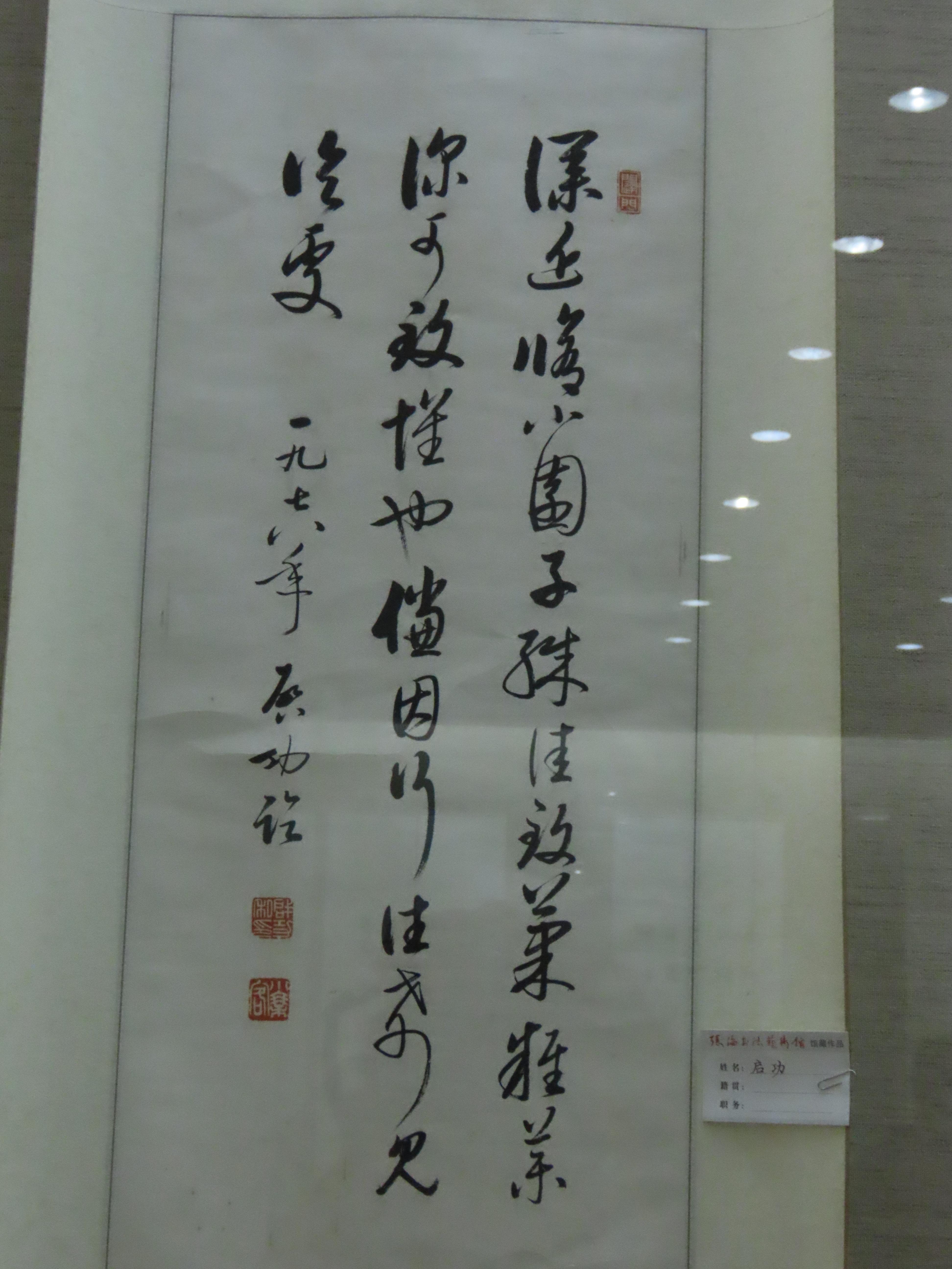 探索书法之美，张海书法作品集的魅力与深度