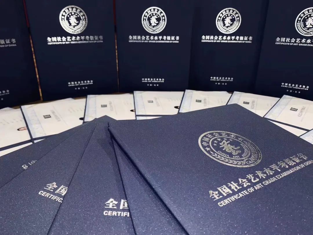 国家承认的艺术考级体系概览，权威认证与艺术之路