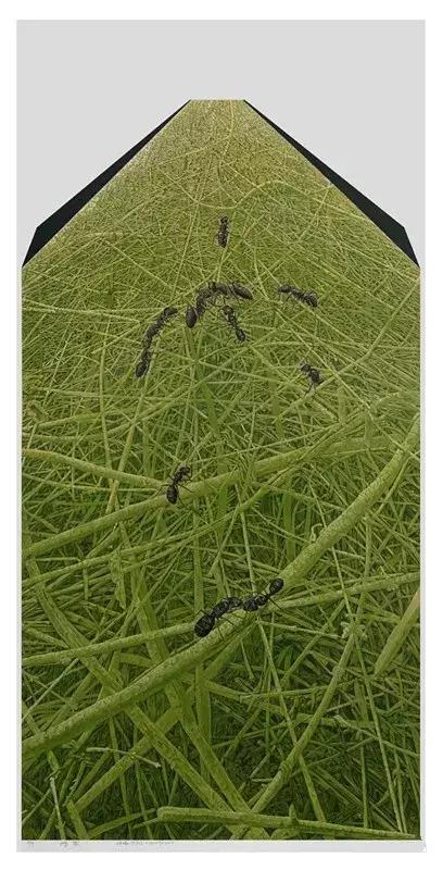 艺术盛宴 第8页