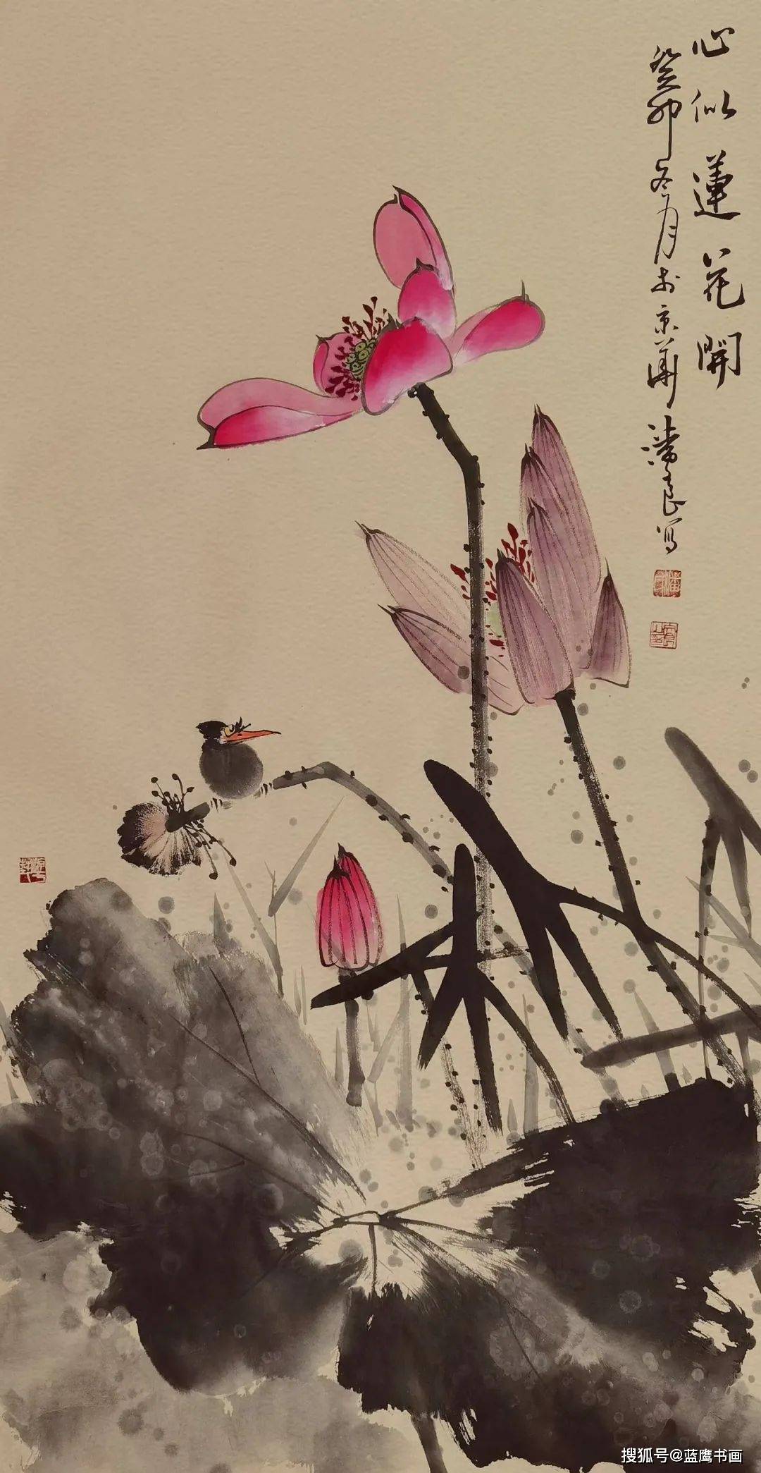 荷韵生辉，国画荷花图片的写意之美