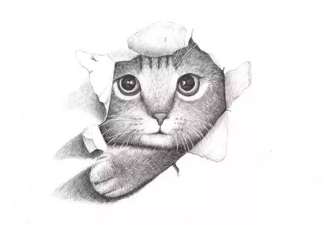 简单素描，用画图图片展现创意与情感的快捷方式