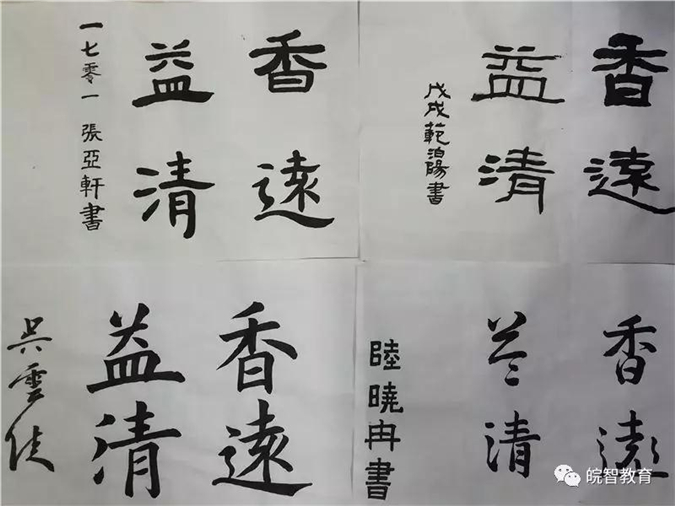 沙孟海书法对联，墨香中的文化传承与艺术魅力