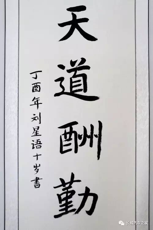 入门视频教学