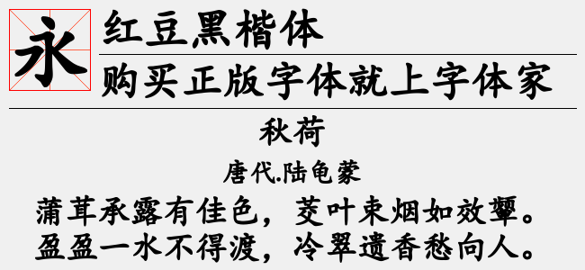 楷书之美，探寻字体艺术的精髓与魅力