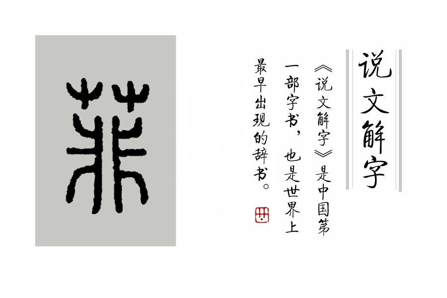 探索小篆的读音之美，千年古韵的现代回响
