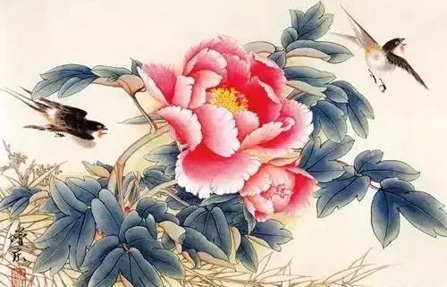 牡丹花国画，简单而优雅的绘制指南