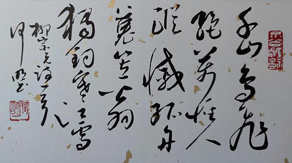 魏碑书法字典，探寻千年古韵的书法艺术