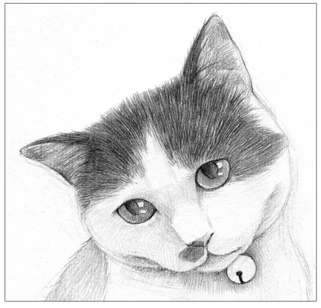 儿童画画大全，简单又漂亮的小猫教程