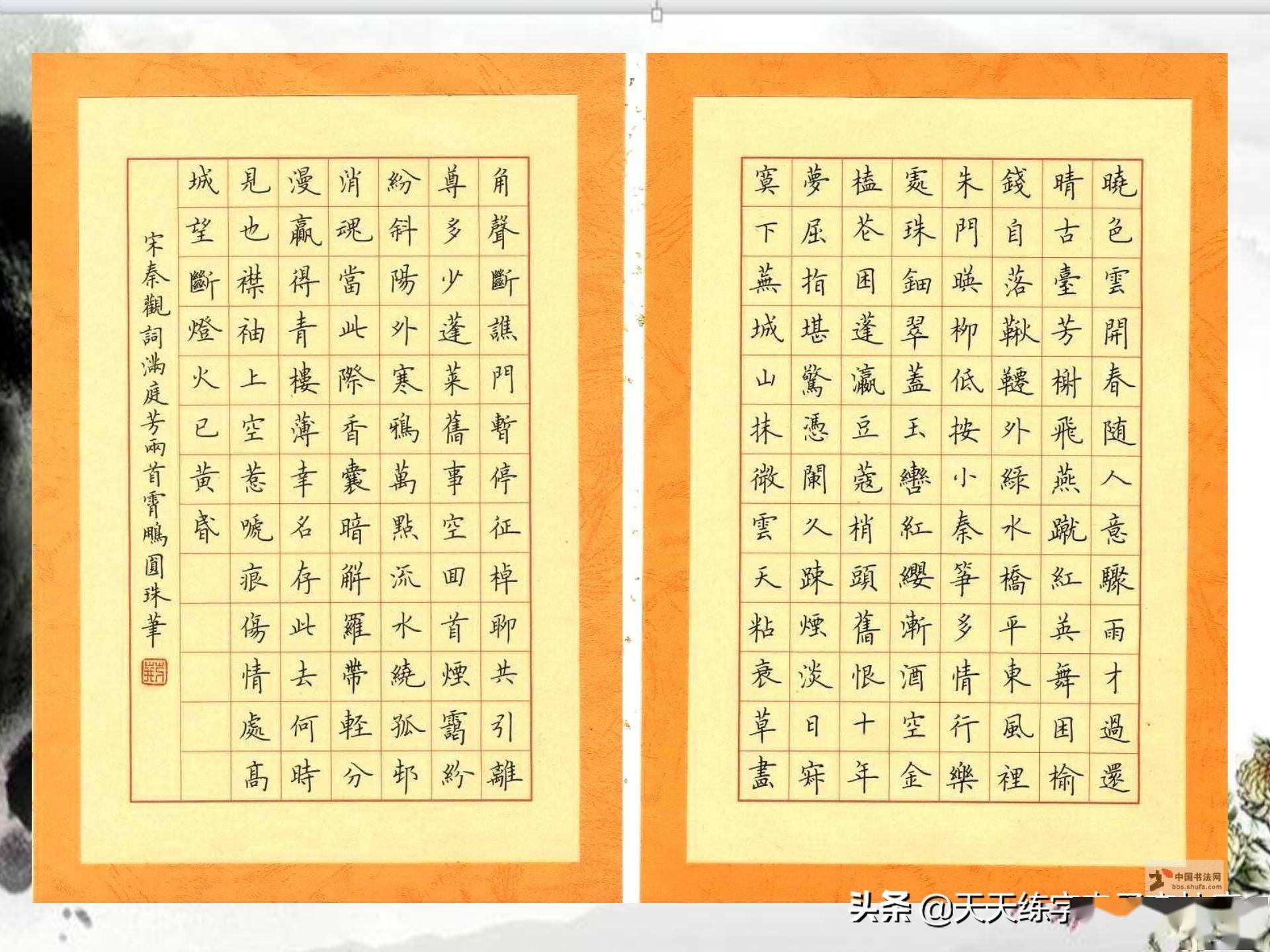 魅力与挑战