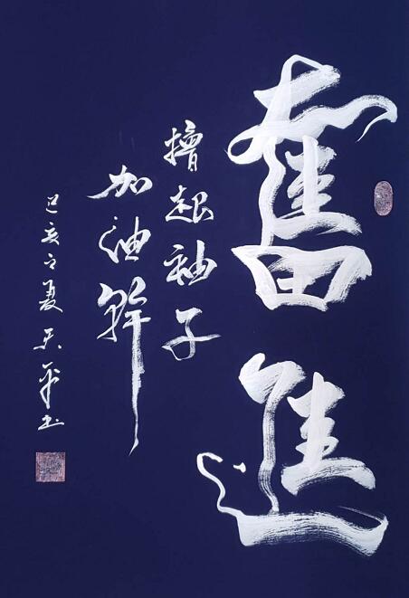 书法艺术欣赏网，探索传统与现代交融的墨香世界