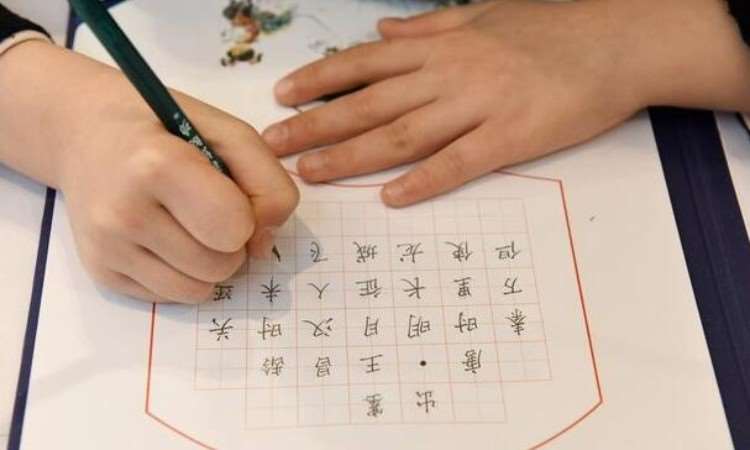 探索书法艺术新篇章，方中格硬笔书法加盟的魅力与机遇