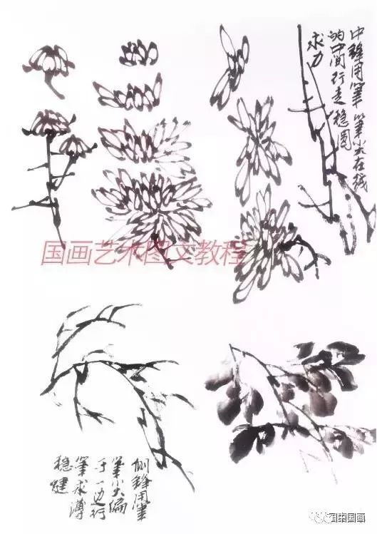 探索国画菊花画法的艺术魅力