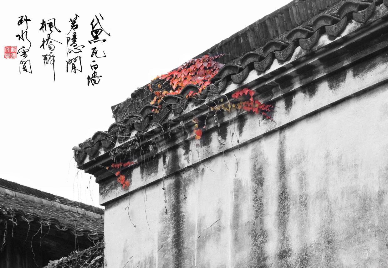 书法设计图案，艺术与创意的完美融合