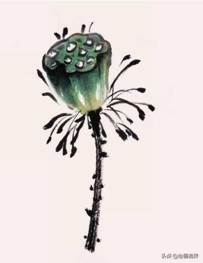怎样画荷花国画，从基础到进阶的教程视频指南