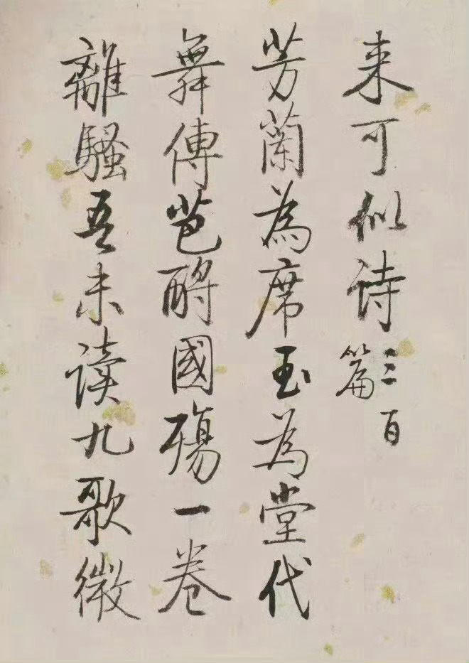 启功书法作品欣赏，笔墨间的艺术盛宴