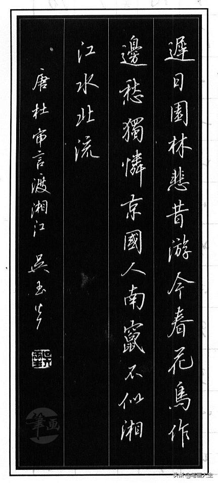 探索书法之美，吴玉生硬笔书法教学视频的魅力与启示