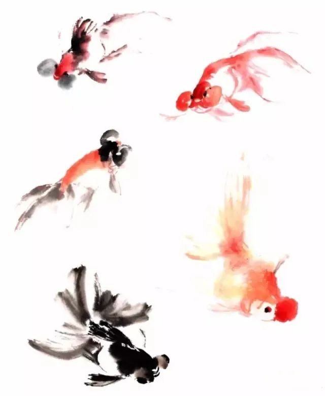 探索国画金鱼之美，国画金鱼教学视频的魅力与学习指南