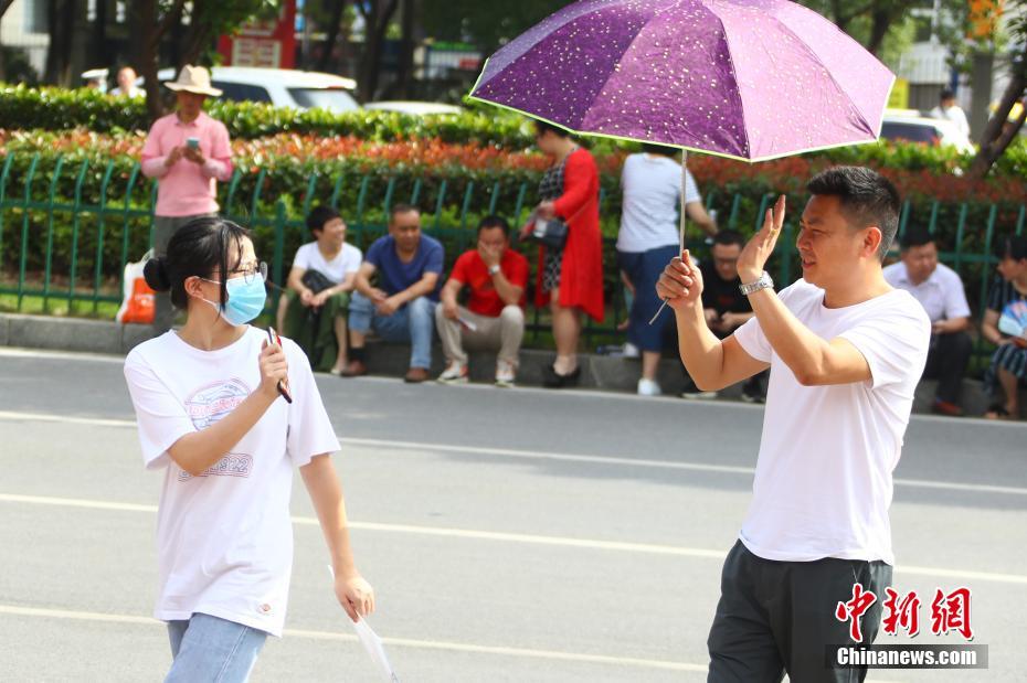 探索艺术殿堂的桥梁，中国艺术高考网官方网站