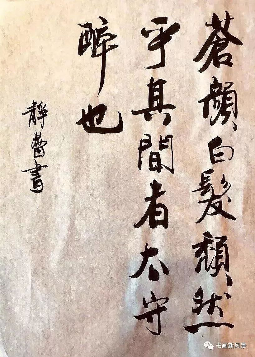 徐静蕾，笔墨间的优雅——书法作品欣赏