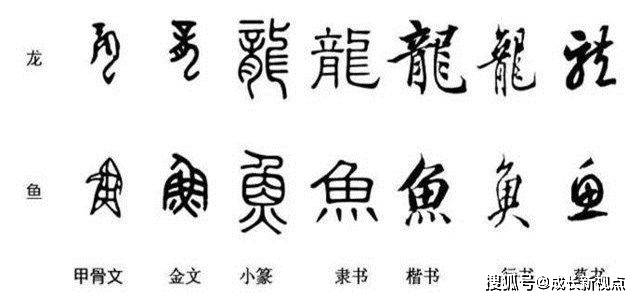 繁体字查询，探寻汉字的根源与文化魅力