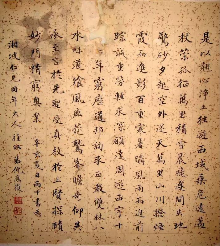 探索书法之美，中国书法网免费下载安装的魅力之旅