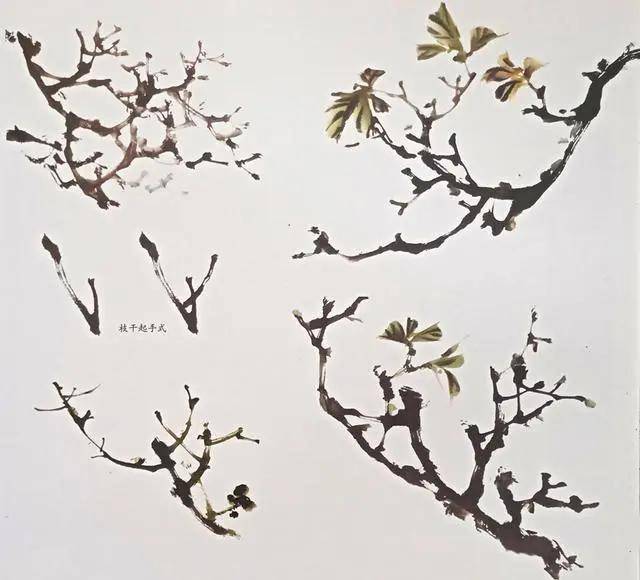 国画初学者入门指南，从零开始，探索传统美学