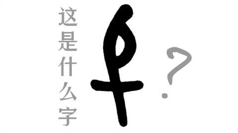 鸟虫篆体字转换器，古文字的现代演绎与文化传承