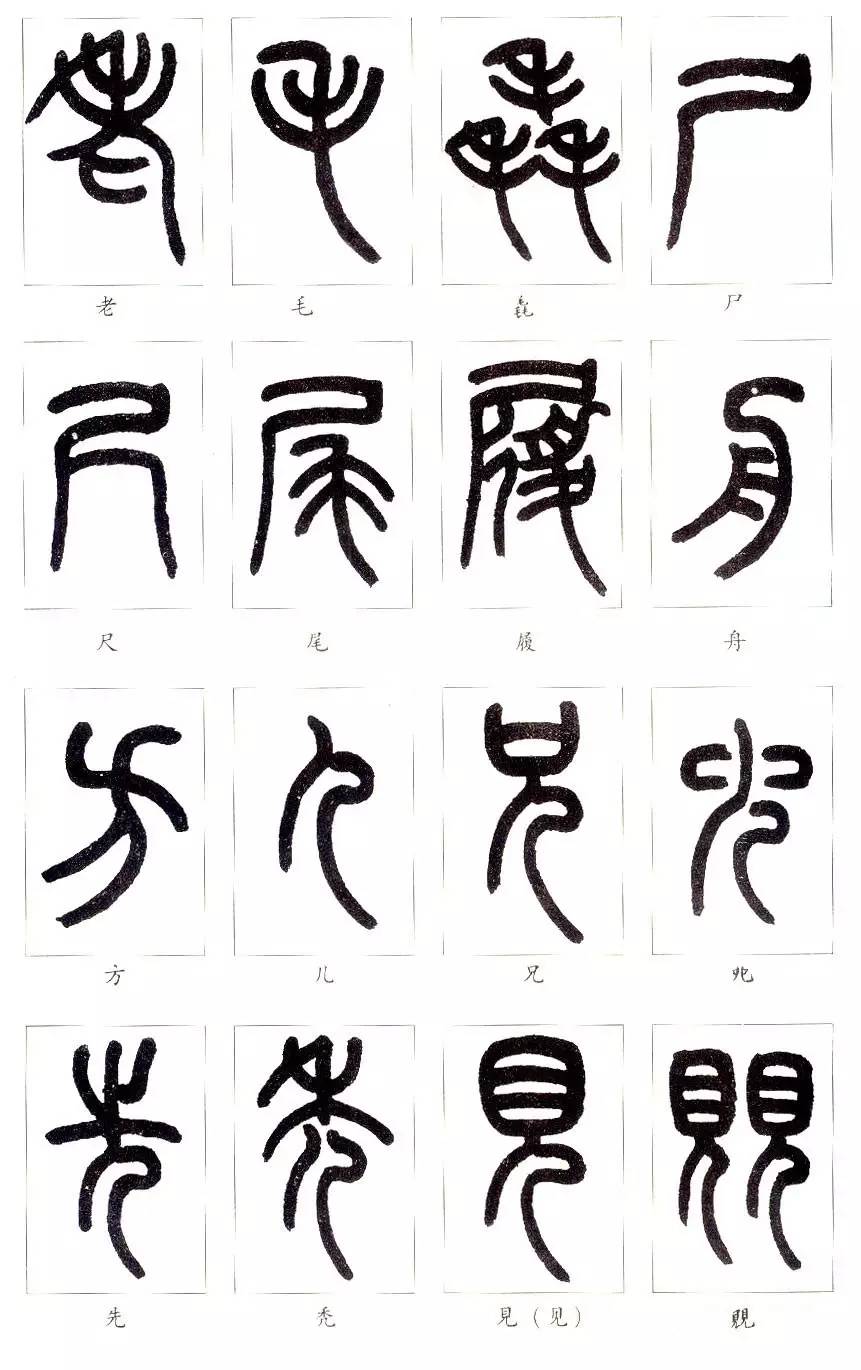 历史与现代