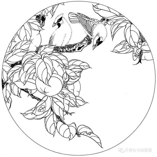 工笔画白描底稿图库，传统与现代技艺的完美融合