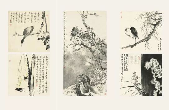 中国画基础教程，探索传统艺术的魅力与技巧
