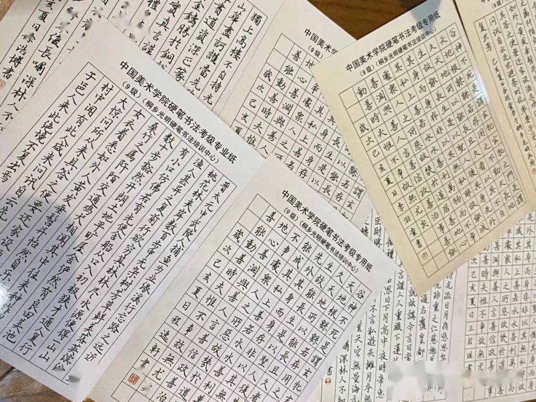 探索中国硬笔书法艺术，中国硬笔书法协会官网考级报名指南