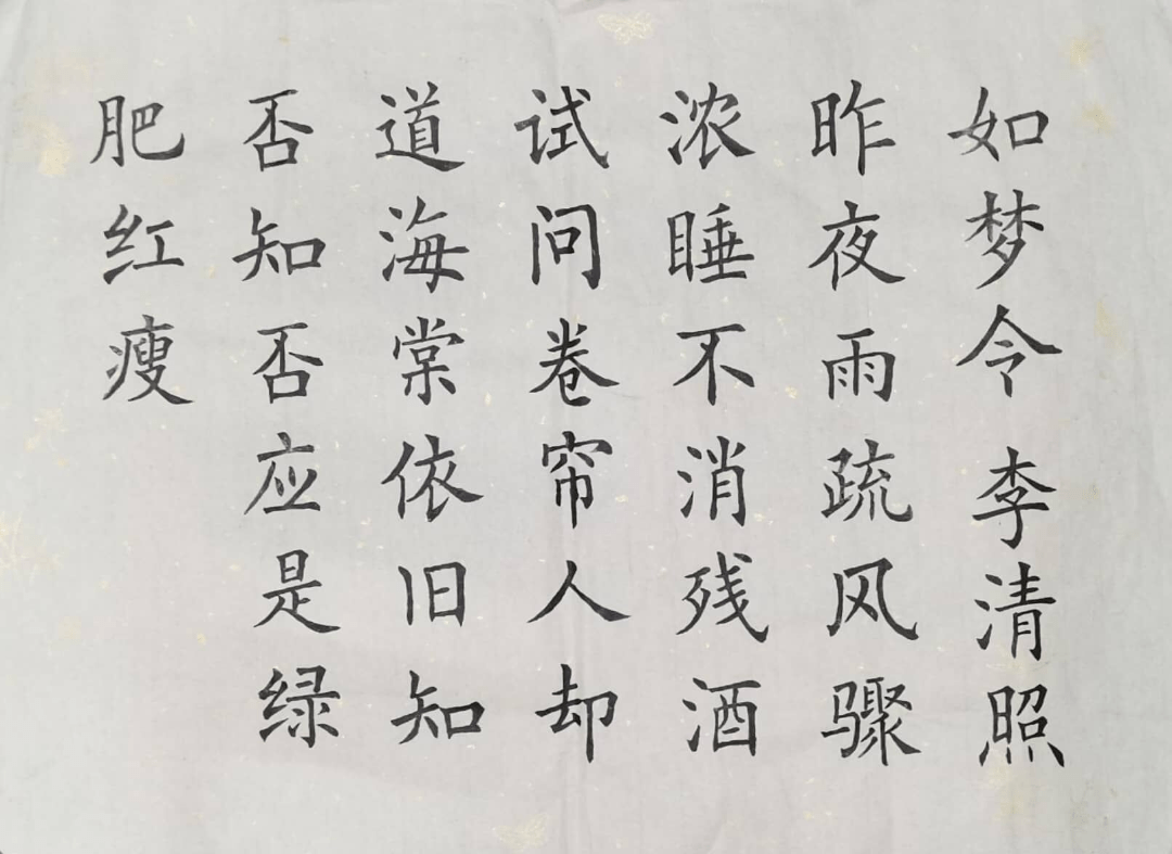 书法报考院校全解析，笔墨丹青中的高等学府之旅