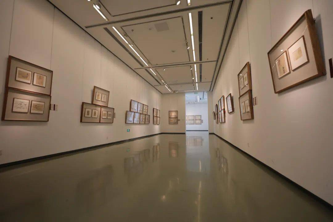 探索艺术新境界，国家画院美术馆近期展览深度解析