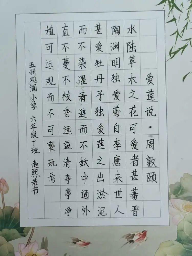 全国中小学生书法大赛，墨香传承，书写未来
