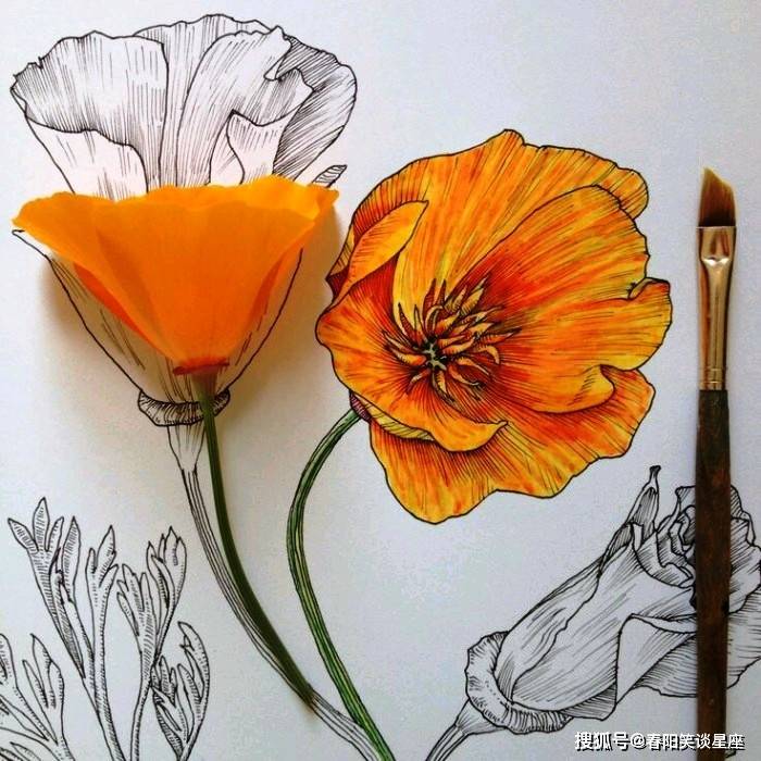 简单易学，打造好看油画棒作品——从零开始的油画棒教程
