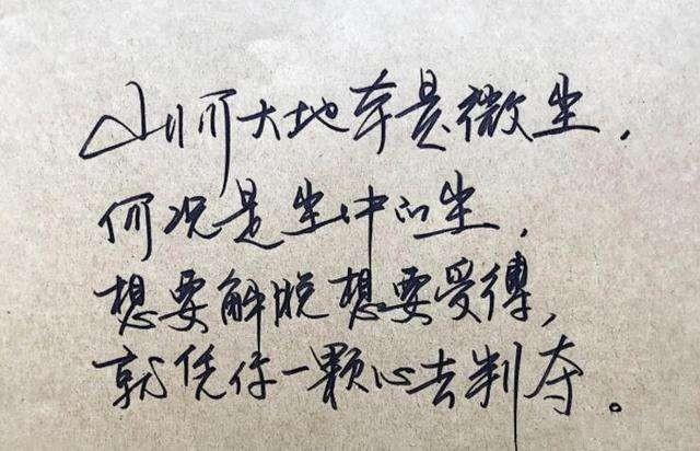 探索中国书法之美，中国书法字库官网的魅力与价值