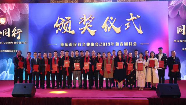 人民美术的璀璨明珠，中国人民美术家协会会员的探索与贡献