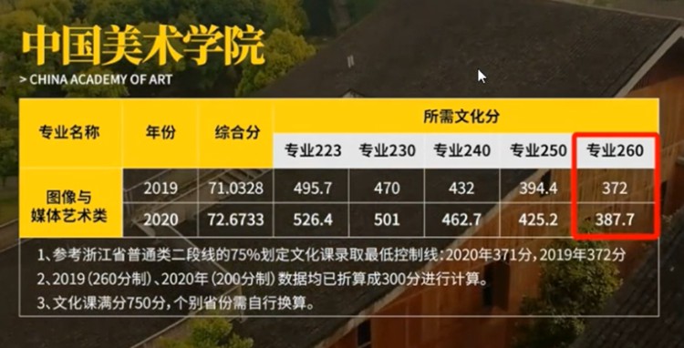 探索艺术殿堂的门槛，揭秘中国美院录取分数线的奥秘