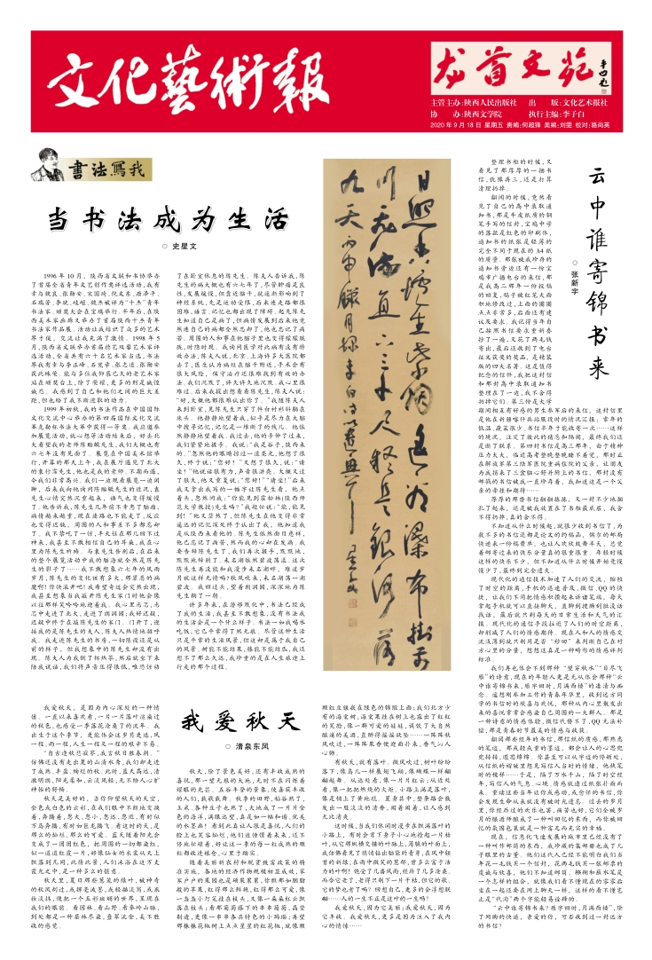 书法报，邮发代号下的文化传承与艺术魅力