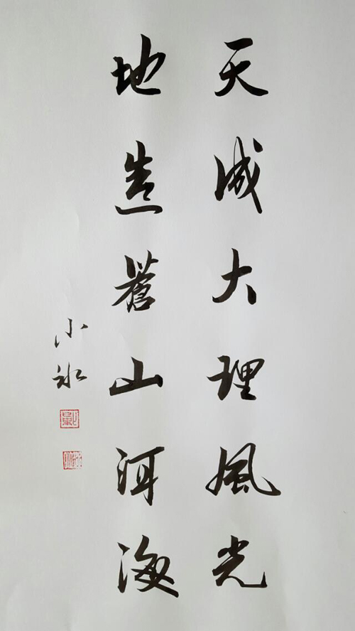 探索书法之美，行书讲座视频全集的深度解析