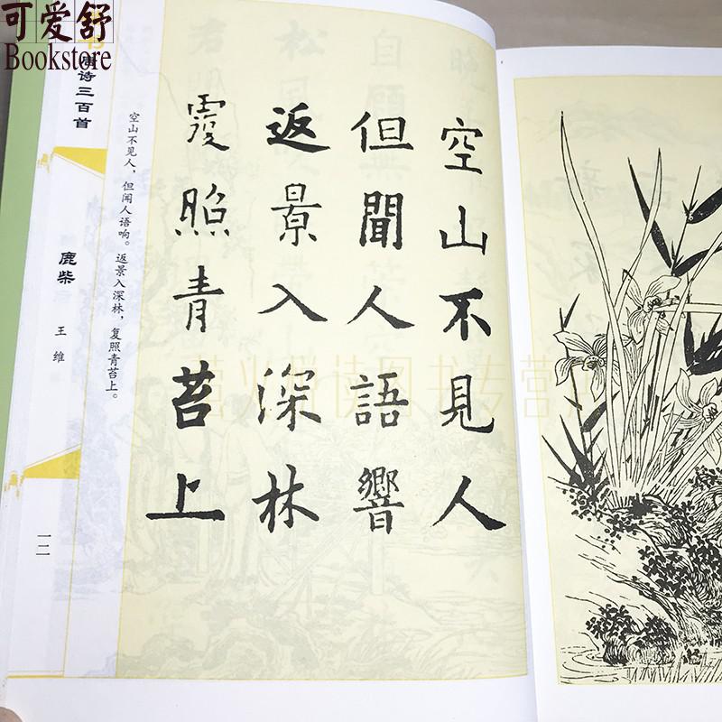 毛笔字帖，正楷书与古诗词的完美融合