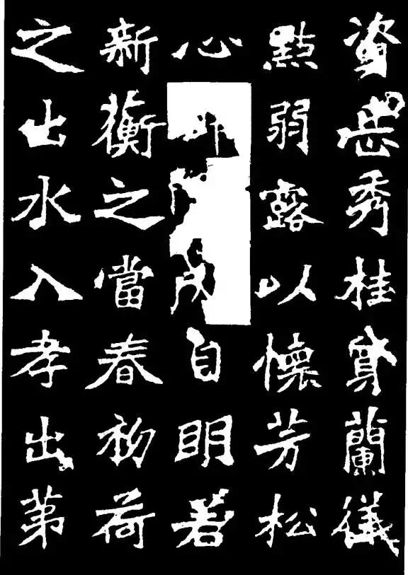 学魏碑，从张猛龙碑入手的探索之旅