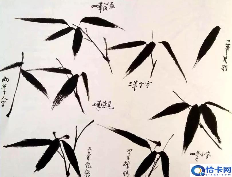 竹子，简单而美丽的画法