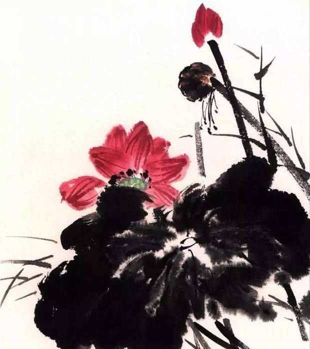 探索国画荷花之美，入门指南与图片大全大图赏析