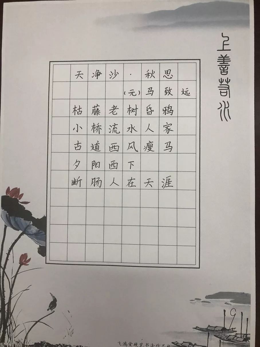 硬笔书法比赛网，传承与创新的书法盛宴
