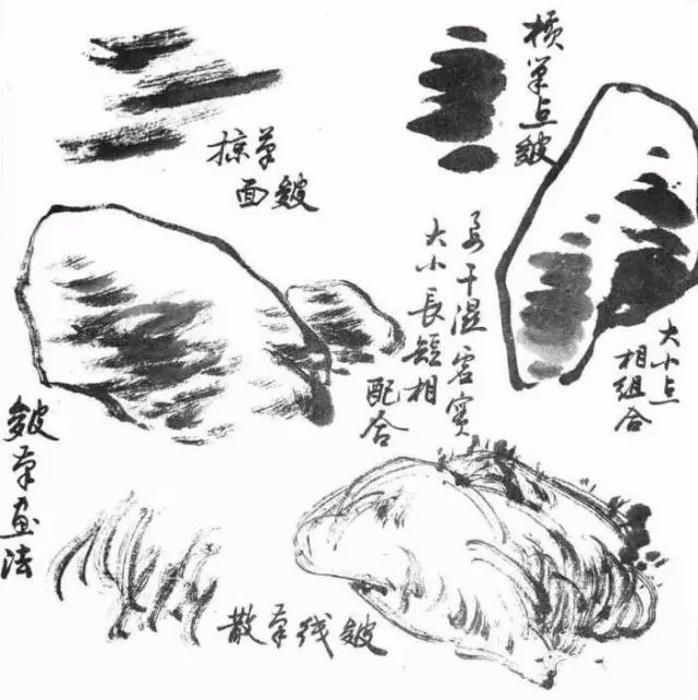 国画入门，一笔一墨绘出东方神韵