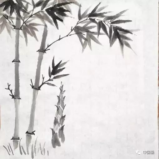 水墨画竹子，一笔一墨间的自然韵律